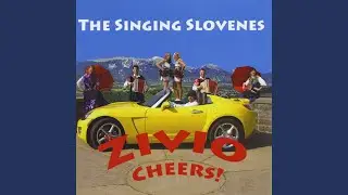 Kamnik Polka
