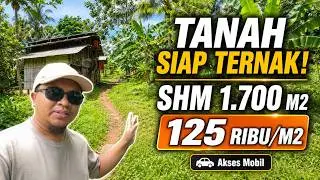 Tanah SHM Murah di Cijeungjing Ciamis 1.746 m², Pinggir Jalan & Sudah Ada Kandang Ayam Pedaging