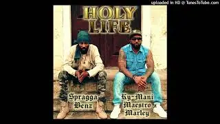 Ky-Mani Marley & Spragga Benz - Holy Life [DubShot Records] (Jan 2026)