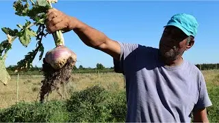 Growing Food and Reforesting the Eastern Cape | Vision 2044