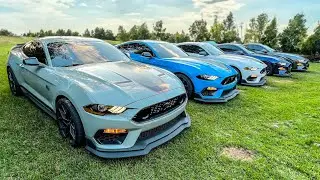 When a Family Cookout turns into a Mustang Meet!!
