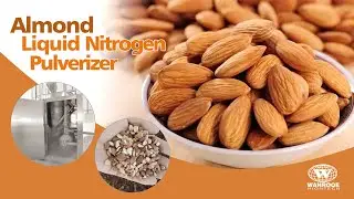 200 Mesh Almond Nitrogen Cooling Pulverizer Machine Apricot Kernel Cryogenic Grinding Miller Machine