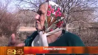Unexpected neighbors - storks in the Nizhny Novgorod region