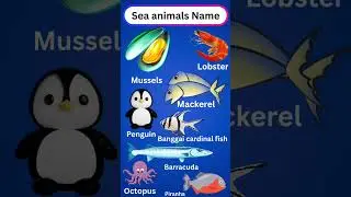Sea Animals Chart for Kids | Learn Ocean Animals 🐠🦀🐙