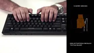 CMHD.TV - CherryMX Brown Switch Overview