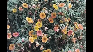 bez tebya (slowed + reverb remix by BHY4A)