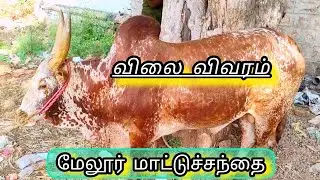 விலை கேட்டு போட்டு இருக்கேன் வீடியோ பாருங்கள் மேலூர் மாட்டுச்சந்தை 15,2,25 அன்று