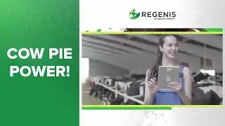 Cow Pie Power