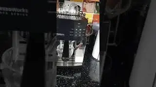 Lollipop Opens A Coffee Shop