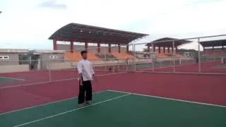 Wing chun kungfu of shifu jou lu from hon seac wong student of ho kam ming