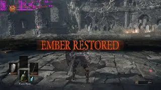 Gaming on a shoestring budget: Dark Souls 3 on GT 1030 and I7 860