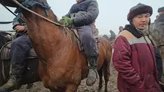 #жылкы базар #аламанулак #horse #актулпар