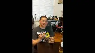 Suntory Whisky Toki Drinking Review