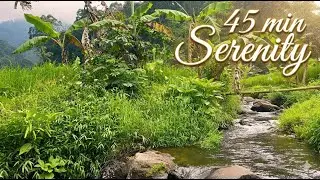 45 Minutes of Calm: Java Mountain Torrent