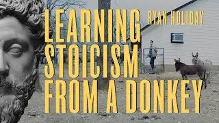 Find Contentment Where You Are NOW With Stoicism and Stillness | Ryan Holiday