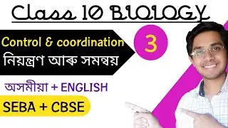 Class 10 science | control and co-ordination | part 3