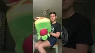 Мой новый плюшевый #покемон Эпплтун
