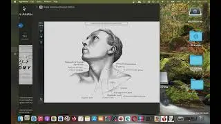 Grays Anatomy Student Edition Mac App Store (Basic Overview)