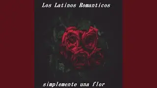 Fuiste Mia Un Verano