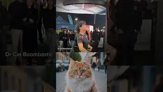 MAN vs WOMEN TALENT💀 #cat #funny #dance