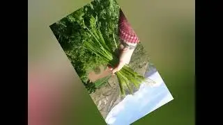 DEVEDAĞI KÖYÜ 🇹🇷