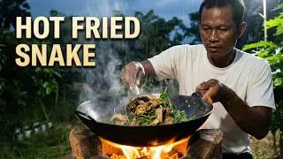 Hot fried snake / Chin Chun