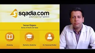 Sense Organs | Sense of Smell and Taste