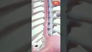 These Medicines Could Harm Your Child! | ये दवाइयाँ आपके बच्चे के लिए नुकसानदेह हो सकती हैं!