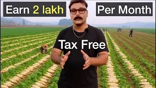 Earning 2 lakhs from Reddish farming, Video series, Part 1