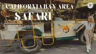 CALIFORNIA SAFARI! // GLAMPING WITH RHINOS & CHEETAHS!