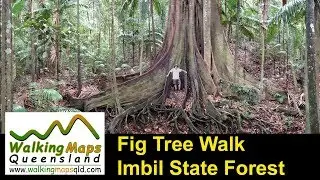 Time-lapse &ndash; Fig Tree Walk - Shot with GoPro Hero 7