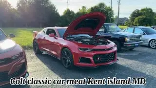 Cult classic car meet