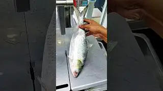Watch the world famous hilsa fish cutting video very quickly #shorts #fish_laver #fish #short #food