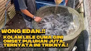 PELUANG EMAS, BUDIDAYA LELE DIKOLAM BUIS BETON