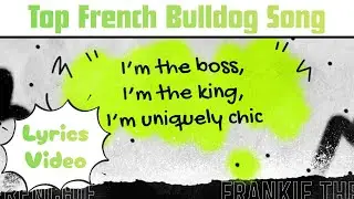 Top French Bulldog Song - 