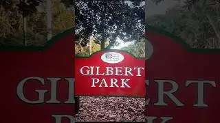 Van life-exploring Gilbert Park, Mount Dora Florida.