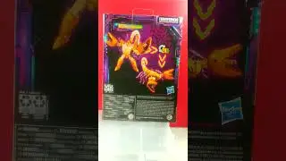 Ransmo5's Wal Mart Exclusive Transformers Legacy At Ross Haul | 10*16*2023 |  #ransmo5 #transformers