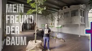 Abendgedanken: Mein Freund der Baum