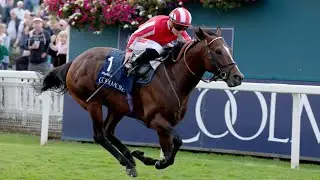 Brilliant BRADSELL bullies Nunthorpe rivals