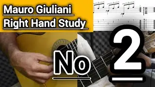 mauro giuliani 120 arpeggio | No.2 _ Right hand studies