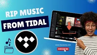 Best Tool to Rip Music from Tidal 2026 - Download Music from Tidal on Desktop for Offline Playback