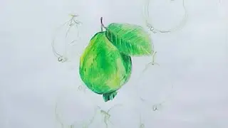guava color pencil drawing || drawing of guava with color pencil || guava drawing for begginers||