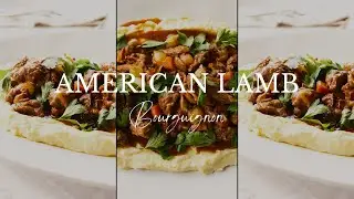 American Lamb Bourguignon