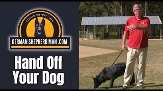 German Shepherd Puppy Training...make SURE you do THIS