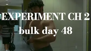 bulk day 48/arm day and some prs