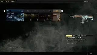 Black Ops 4 - BLACK MARKET CONTRABAND ALL 200 TIERS!