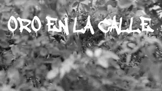 ORO EN LA CALLE /DRASER ONE FT FOSER U.N.1 / DS MAFIA