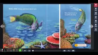 What Eats What in an Ocean Food Chain