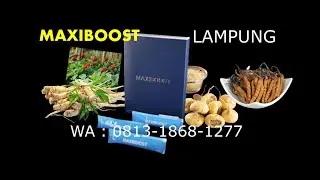 Maxiboost Lampung Dengan COD, 0813-1868-1277