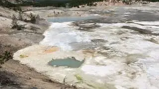 View of Porcelain Springs in Norris Geyser Basin of Yellowstone National Park